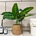 Daire Expat Renting - Le Refuge Douillet- Confort - Wifi