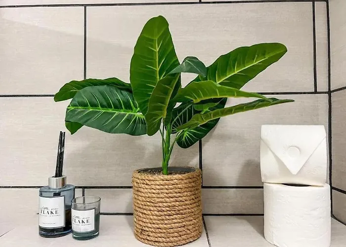 Lägenhet Expat Renting - Le Refuge Douillet- Confort - Wifi